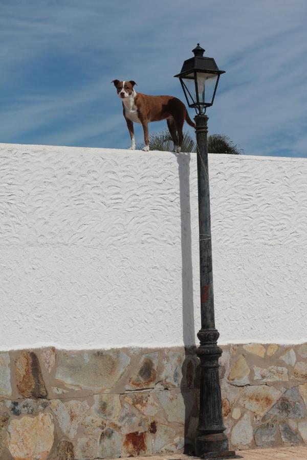 Golf View Apartment - Stunning Ocean View Golf Del Sur San Miguel de Abona Exteriör bild